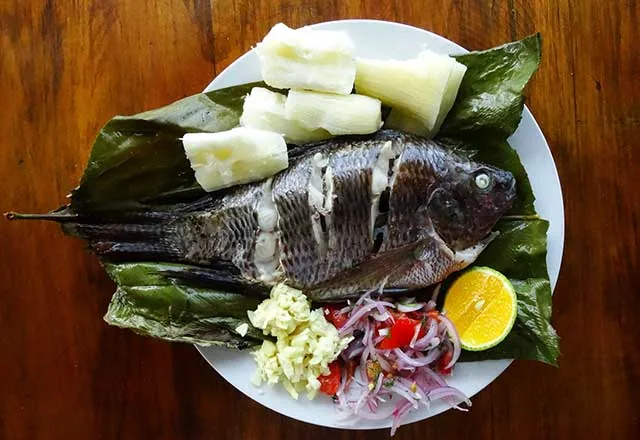 Maito de pescado